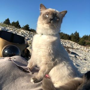 Meet your Posher, Marina